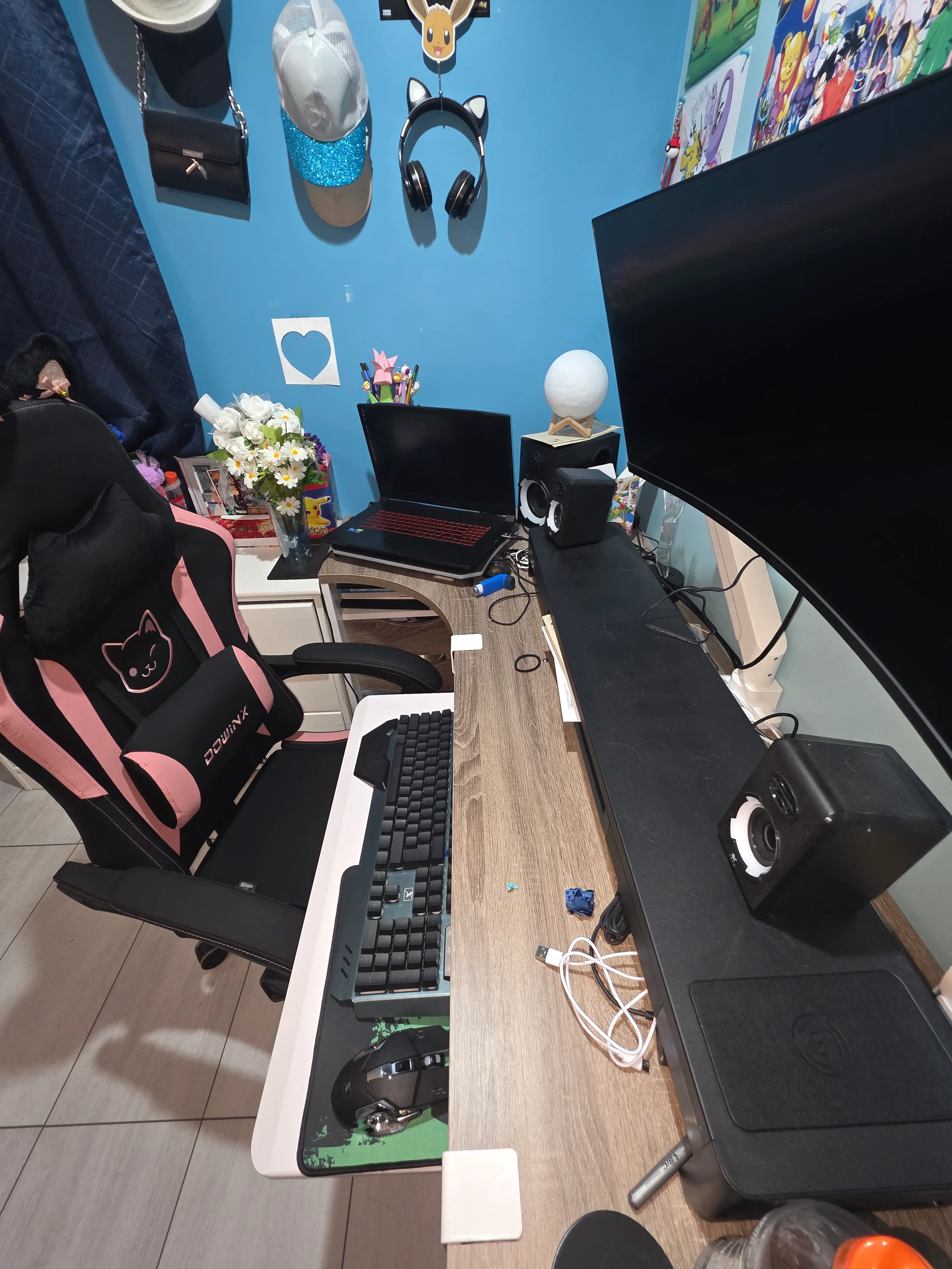 Home Sanitation in Progress