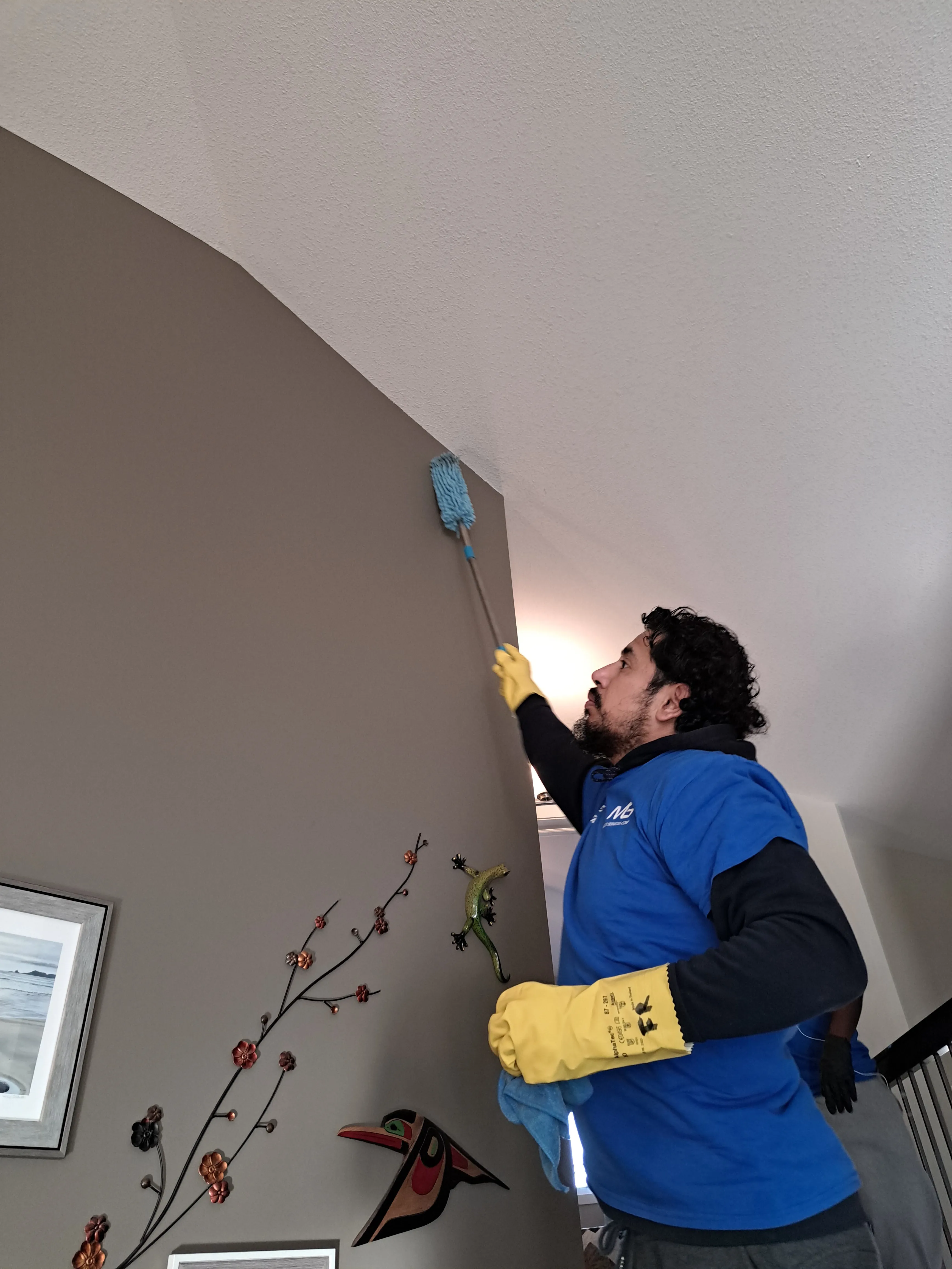 Heavy Equipment Sanitation